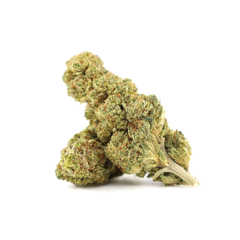 Blue Mango 30% 10-OH Blüten (1g-100g)