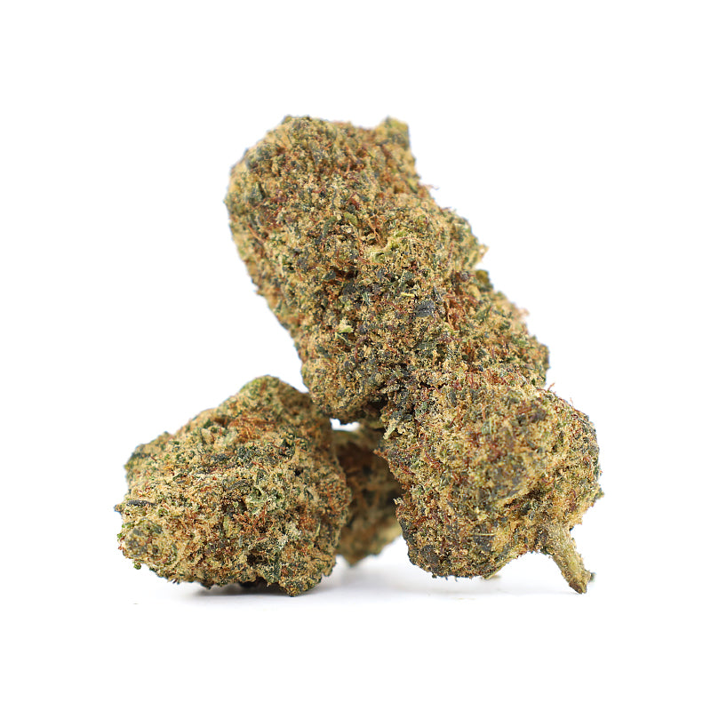 El Magnifico 35% THCA Blüten