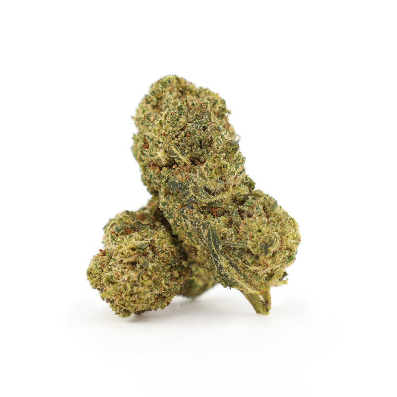 Flying Dutchman 25% THCA Blüten