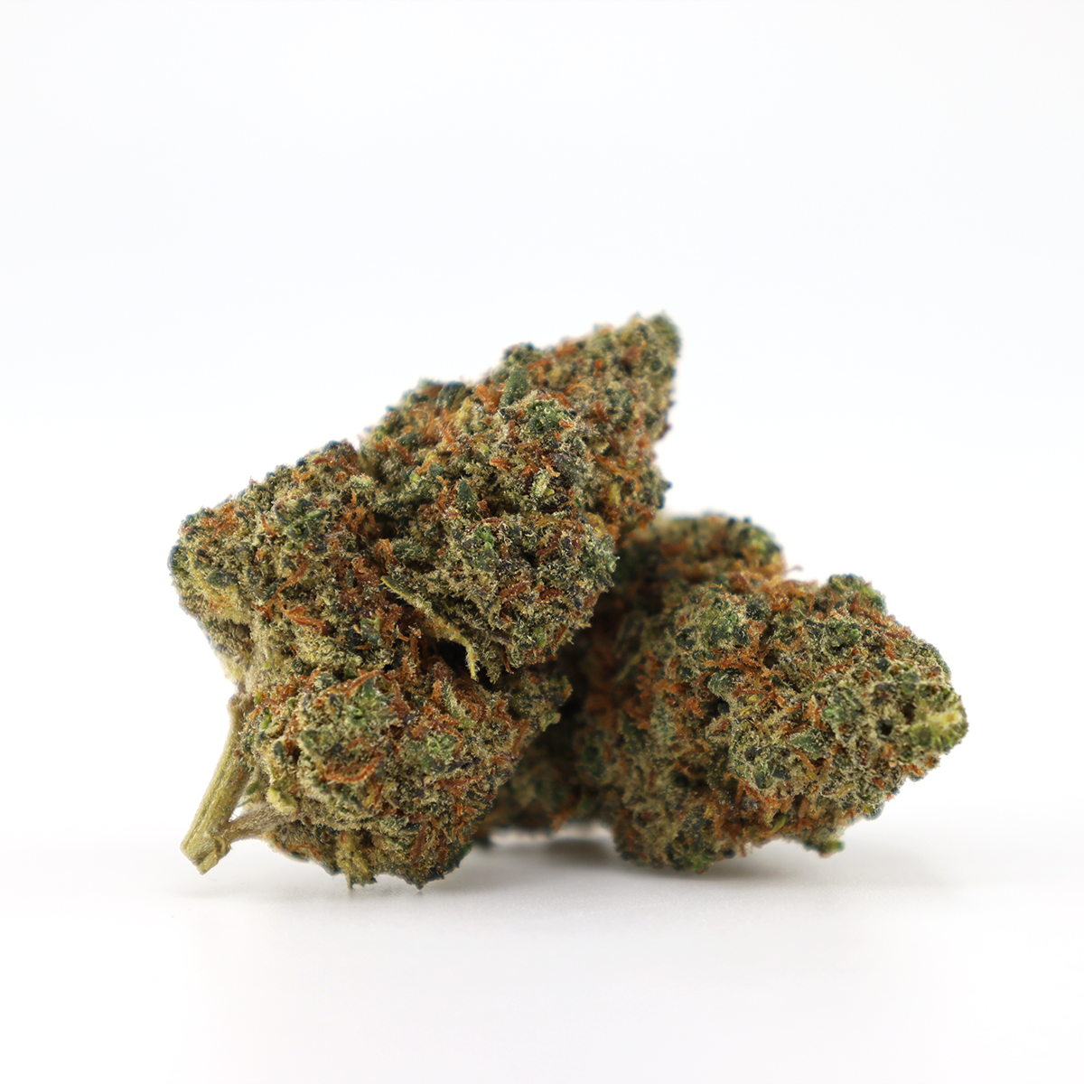Gaz Bomb 30% THCO flowers