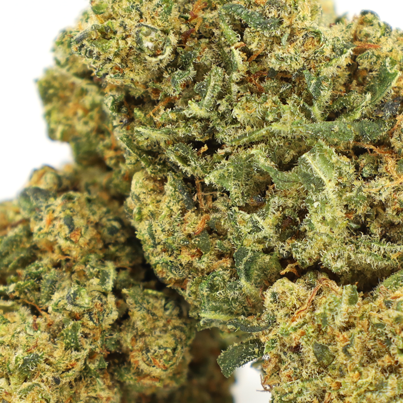 Fish Scale COOKIES Blüten (1g-3.5g)