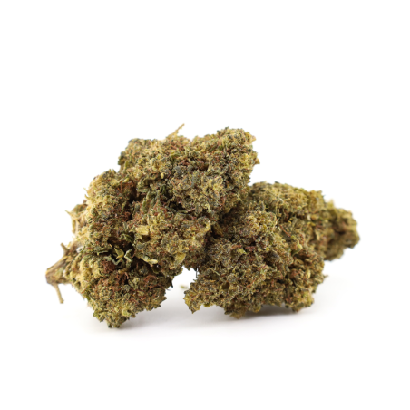 MUNCHIES HAZE 26% THCA FLOWER