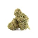 DIDDY\'S LOTION THCA FLOWER, Gram: 12G