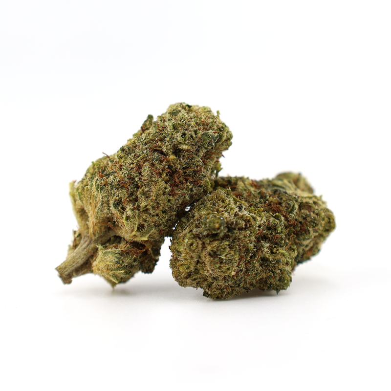 GODZILLA PUNCH 25% THCA flower