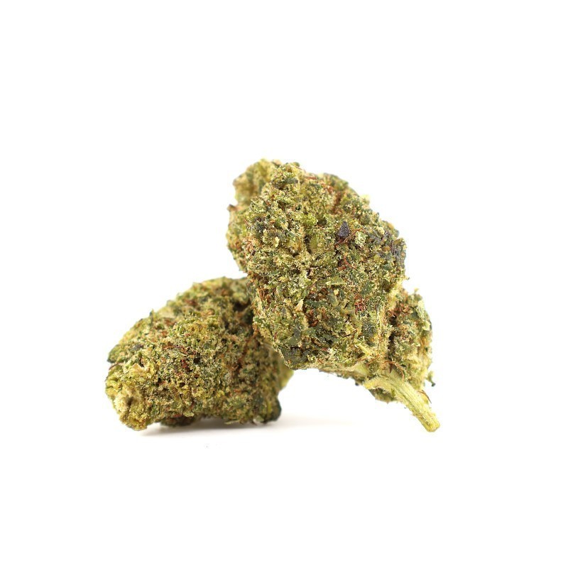 PANNA COTTA BLÜTE THCA