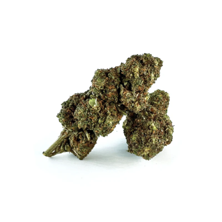 MELONADE THCA BLÜTE