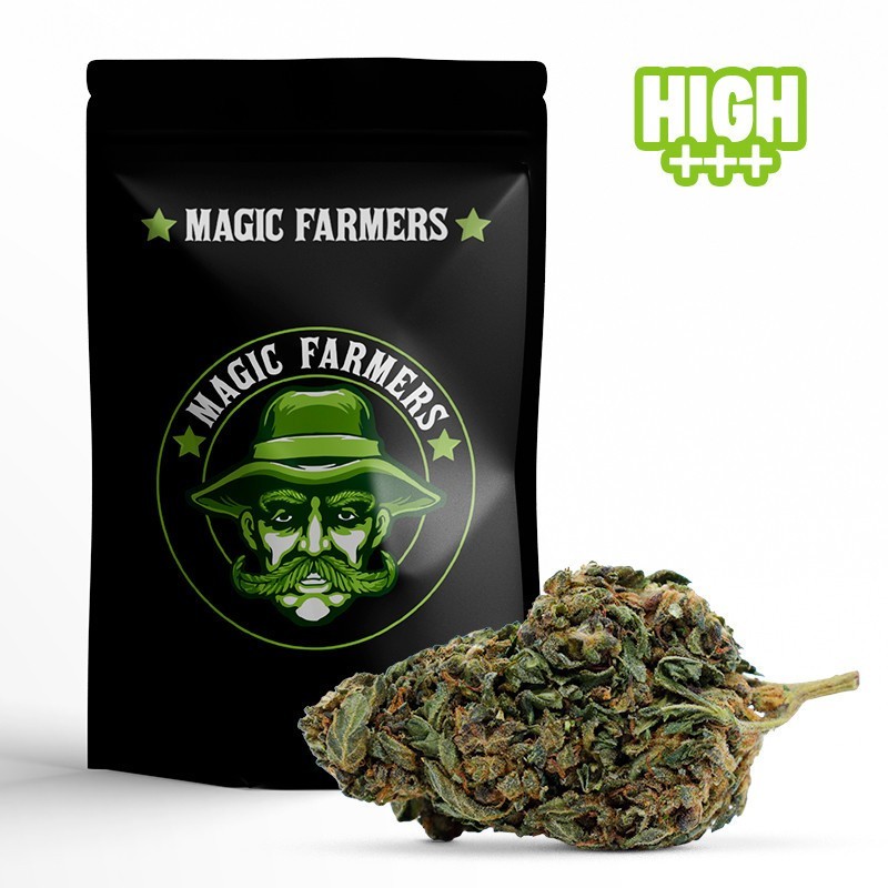 CHOCOLATA SKUNK 30% FLOWER 10-OH-HHC