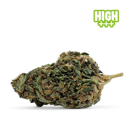 CHOCOLATA SKUNK 30% FLOWER... - alt
