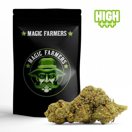 EARLY GIRL 30% FLOWER 10-OH-HHC