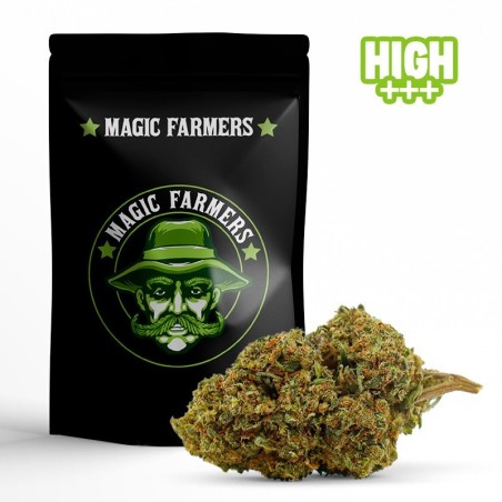 MR NICE 30% BLÜTE 10-OH-HHC