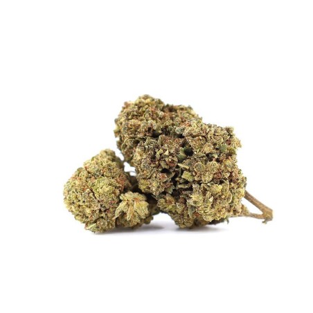 MR NICE 30% BLÜTE 10-OH-HHC - alt