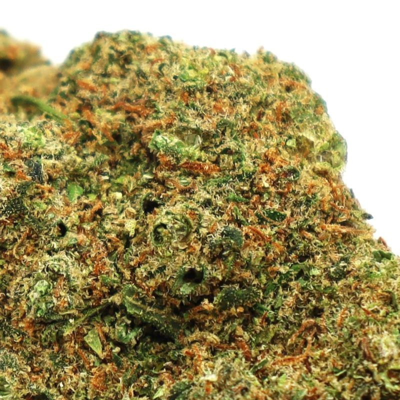 TEQUILA SUNRISE CBD BLÜTE COOKIES
