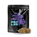 BLACK LAB ONE FLOWER PRT LAB