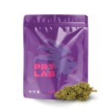 PURPLE LAB ONE FLOWER PRT LAB