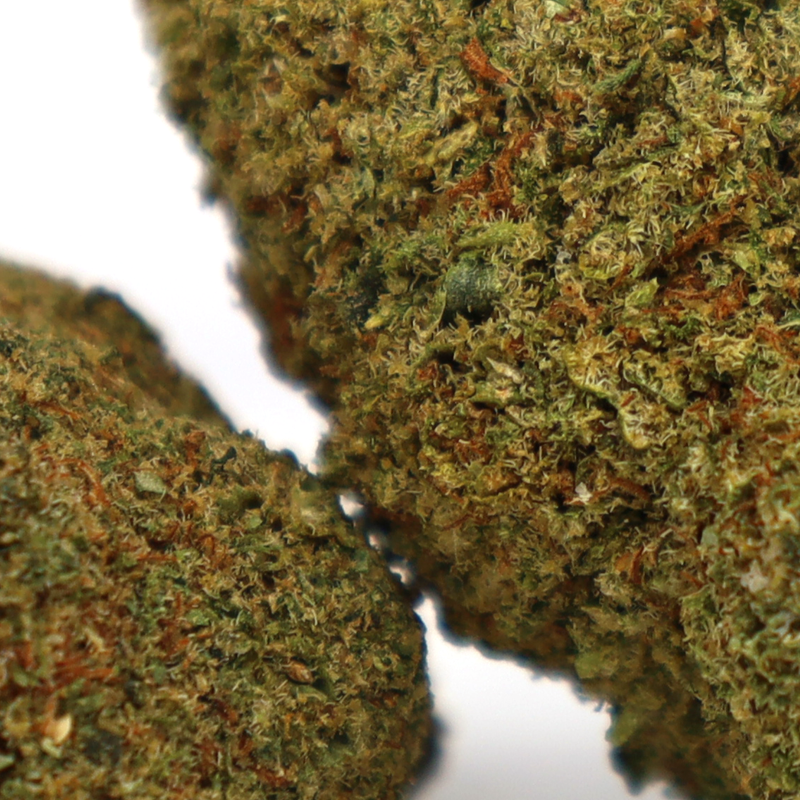 ADIOS MOTHER F*CKER! CBD BLÜTE COOKIES