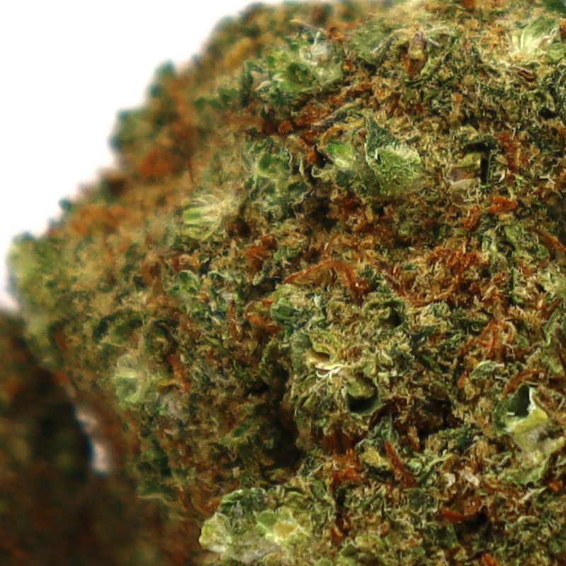 TRIPLE SCOOP CBD FLOWER COOKIES