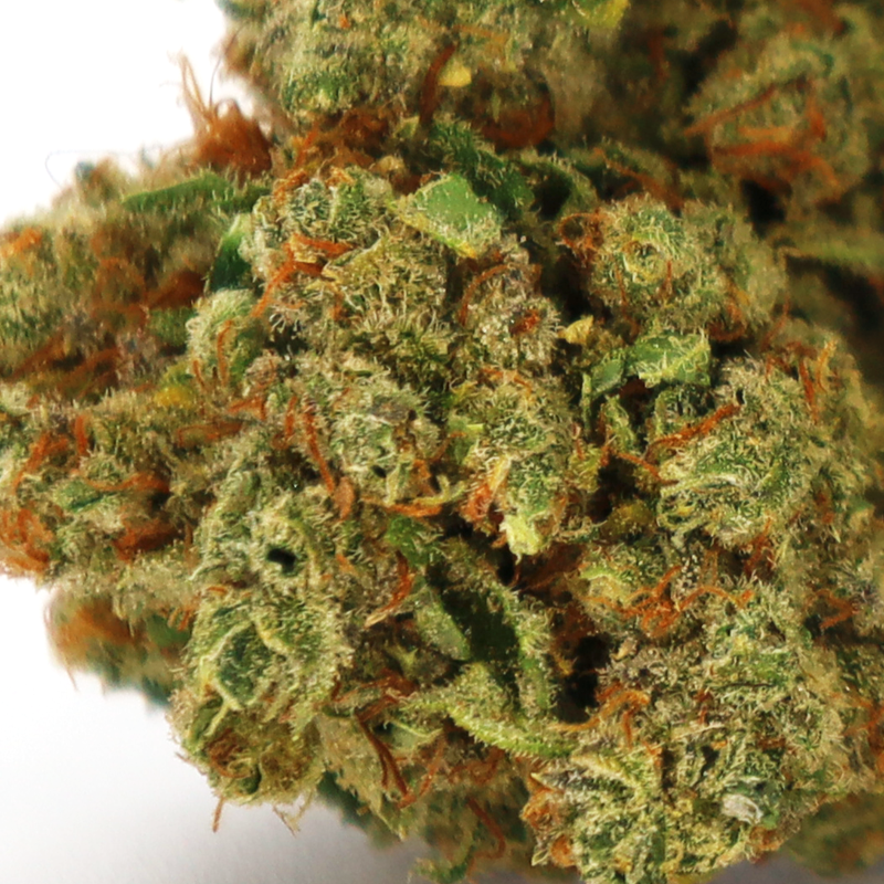 HAWAIIAN RAIN CBD BLÜTE COOKIES