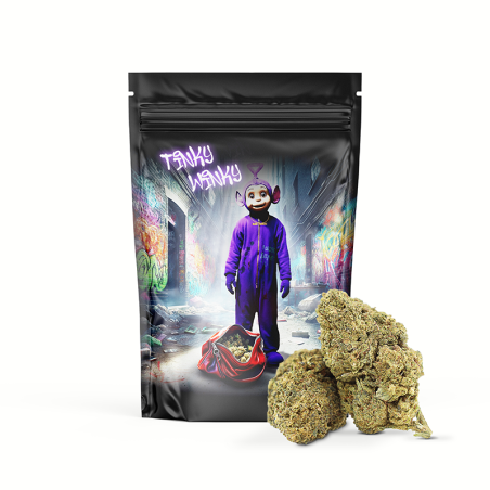 TINKY WINKY 50% MAGIC SAUCE FLOWER