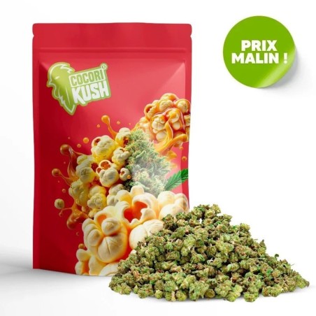 Popcorn Flower CocoriKush CBD