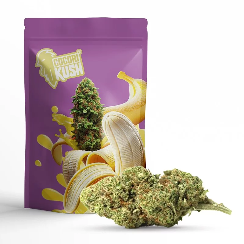 BANANA KUSH FLOWER COCORIKUSH CBD
