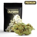 MARLEY KUSH FLOWER COCORIKUSH CBD, Gram: 1G
