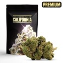 Mango Tango Flower Cocorikush CBD, Gram: 6G
