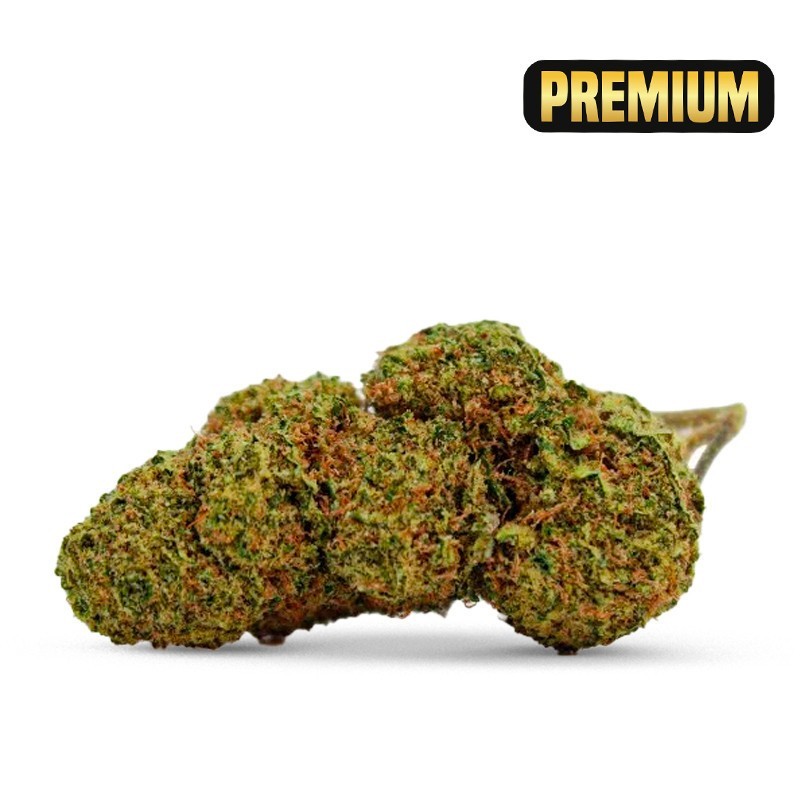 NORTH THUNDERFUCK FLOWER COCORIKUSH CBD