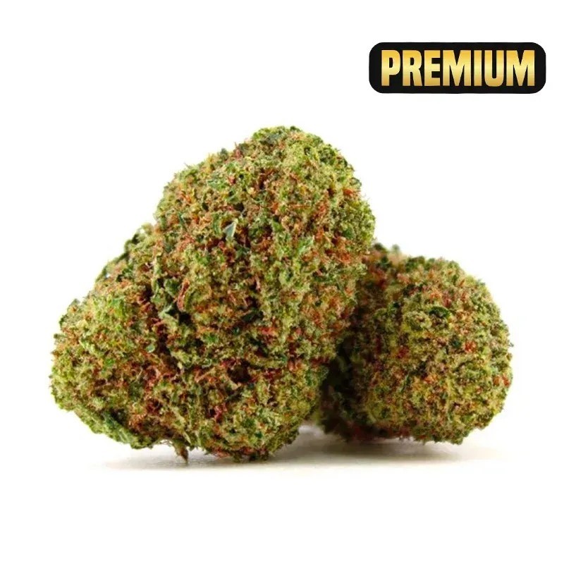 NORTH THUNDERFUCK COCORIKUSH CBD BLÜTE