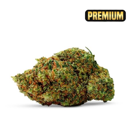 Durban Poison Cocorikush... - alt