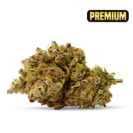 ROYAL GORILLA CBD BLÜTE... - alt