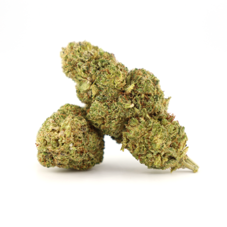 HONEY BUN INFUSED BLOSSOM... - alt