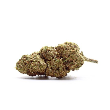 PETER PAN KUSH 30% CBN+ BLÜTE - alt