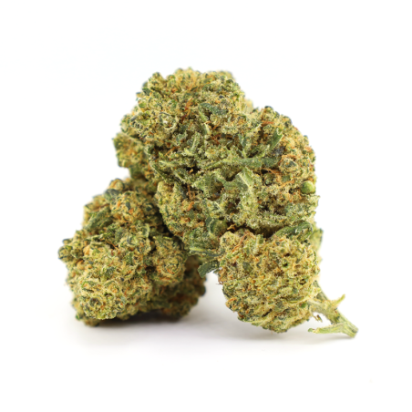 FISH SCALE INFUSED BLÜTE... - alt