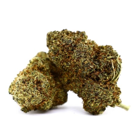 CHEETAH PISS INFUSED FLOWER... - alt