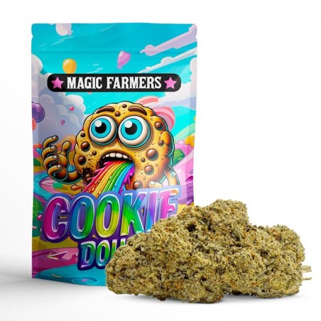 COOKIE DOUGH 25% CBN+