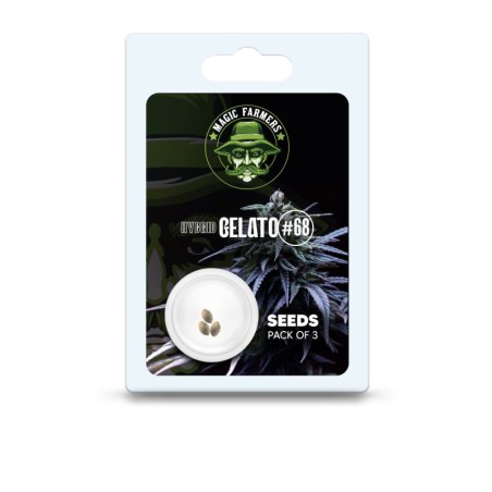 Gelato THC seeds