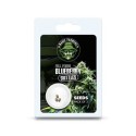 BLUEBERRY SKITTLEZ THC SEEDS, Seeds: 10 seeds