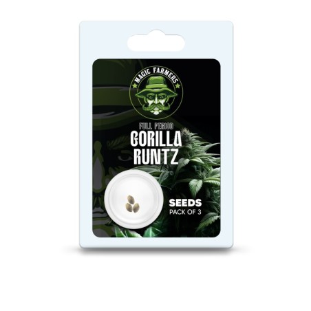 Gorilla Runtz seeds THC