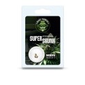 Super Skunk THC seeds, Seeds: 3 seeds