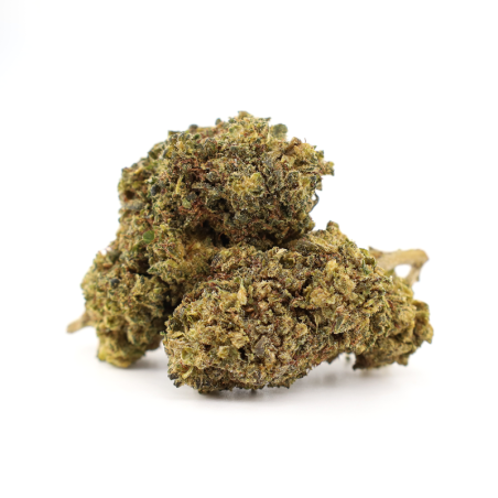 GORILLA COOKIES 50% MAGIC SAUCE FLOWER