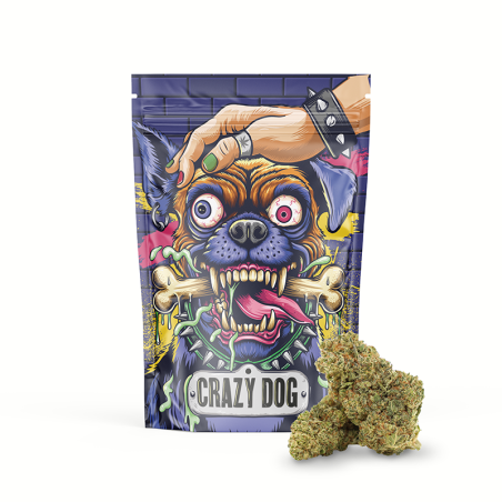 CRAZY DOG 50 % MAGIC SAUCE BLÜTE