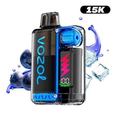 Rechargeable Puff 15K VOZOL Frozen Blueberry 12ml