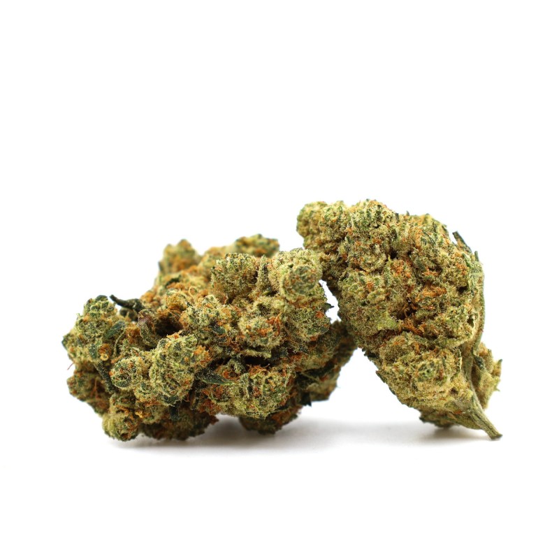 CHAMPAGNE HAZE 36% THCA FLOWER