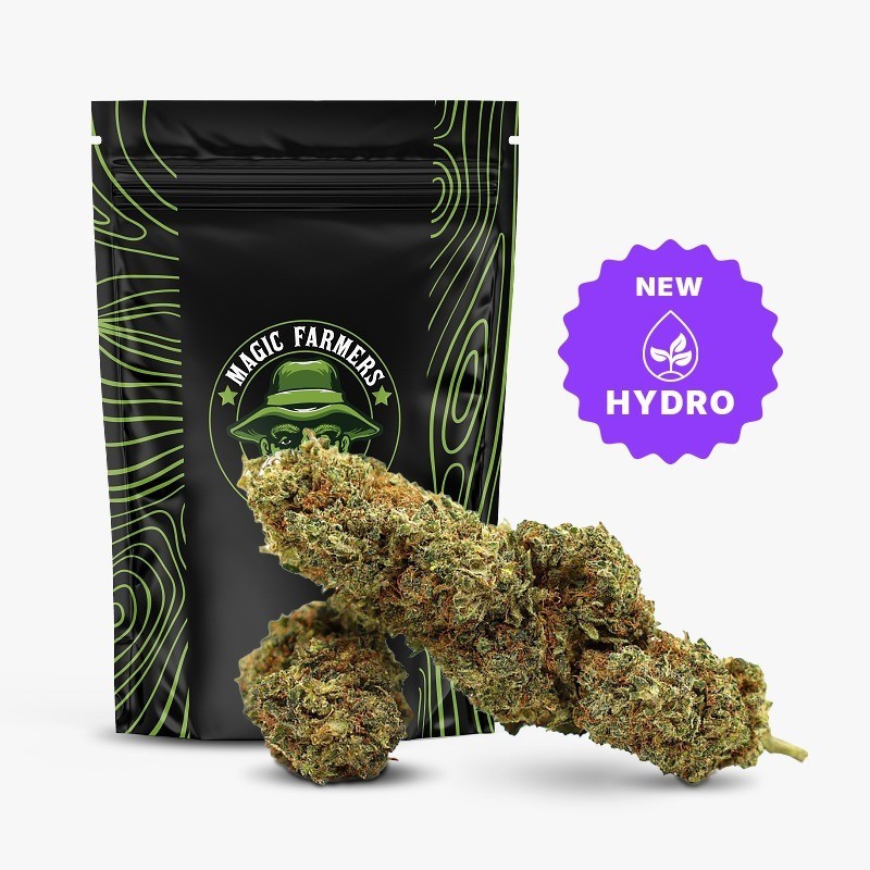 JEALOUSY 35% THCA FLOWER