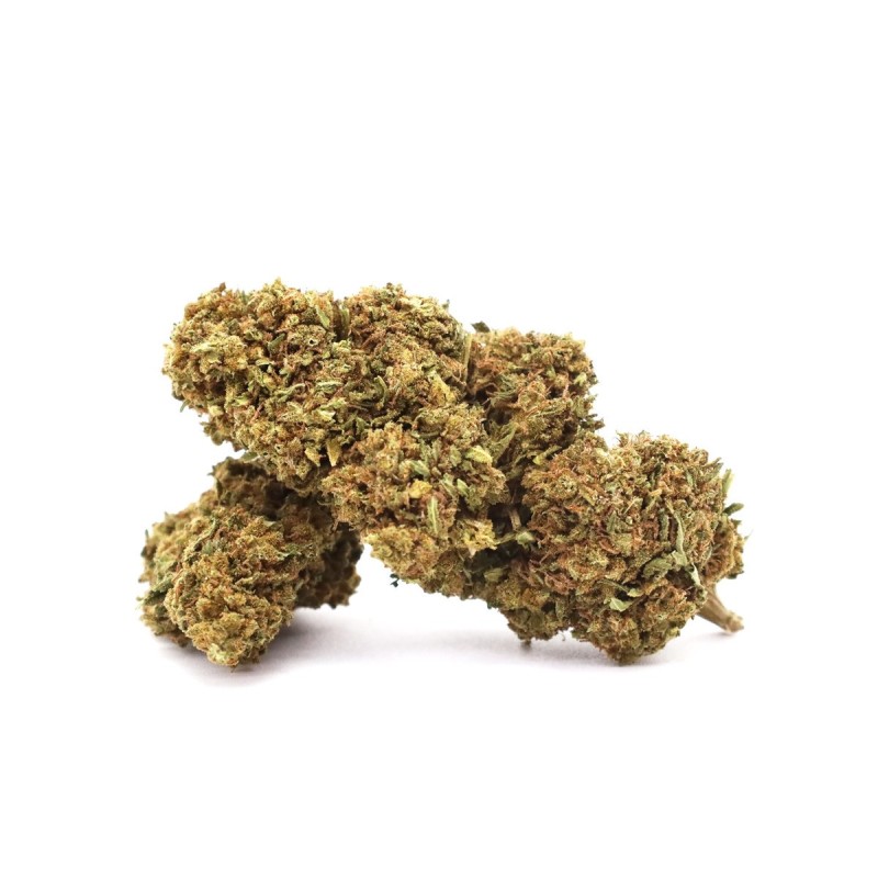 POWER PLANT 28% CBD FLOWER