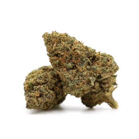 GELATO 41 40% THCA FLOWER
