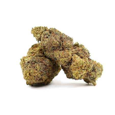JAPANESE PEACH FLEUR THCA