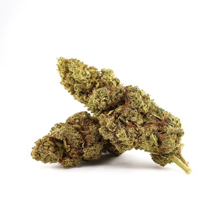 JOHN LEMON 50% BLÜTE MAGIC... - alt