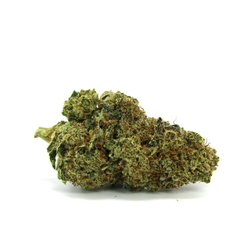 GMO COOKIES 50% BLÜTE CBD