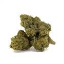 AMNESIA 50% FLOWER CBD, Gram: 1G